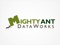 mighty-ant-data-works