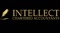 intellect-chartered-accountants