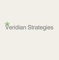 veridian-strategies