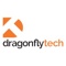 dragonfly-managed-technology