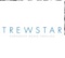 trewstar-corporate-board-services
