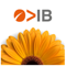 ib-format