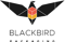 blackbird-packaging
