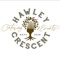 hawley-crescent-catering-events