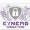 cynerd-consulting