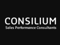 consilium-consultants-sl
