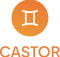 castor-development-outsourcing