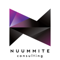 nuummite-consulting
