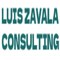 luis-zavala-consulting
