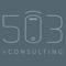 503-consulting