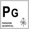 paradigm-geospatial