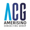 amerisino-consulting-group
