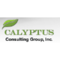 calyptus-consulting-group