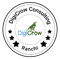 digicrow-consulting
