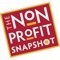 nonprofit-snapshot