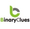 binary-clues-agency-crm-software-provider