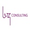 bz-consulting