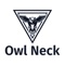 owlneck-consulting-services