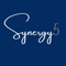 synergy5-consulting