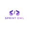 sprint-owl