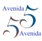 avenida-5