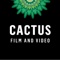 cactus-film-video