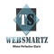 t-s-web-smartz