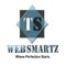 t-s-web-smartz-0