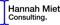 hannah-miet-consulting