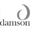 damson-consultancy