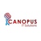 canopus-it-solutions