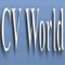 cv-world-it-services