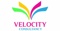 velocity-consultancy