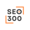 seo300