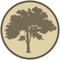 golden-oak-web-design