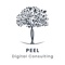 peel-digital-consulting