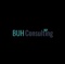 buh-consulting