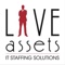 live-assets-it-staffing-solutions