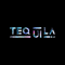 tequila-branding-web-design-company