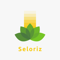 seloriz-solutions-private