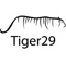 tiger29