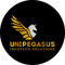 unipegasus-infotech-solutions