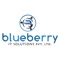blueberry-it-solutions