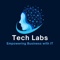tech-labs-consulting