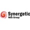 synergetic-web-group