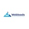 web-leads-digital-agency
