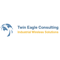 twin-eagle-consulting