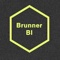 brunner-bi