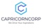 capricorncorp-fraud-company