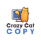 crazy-cat-copy